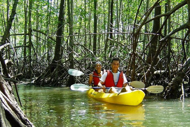 Ecotourism